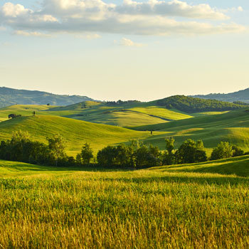 Rolling green hills and fields under a partly cloudy sky with distant mountains.