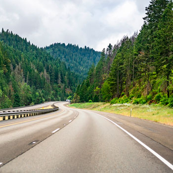 A highway surrounded by beautiful trees