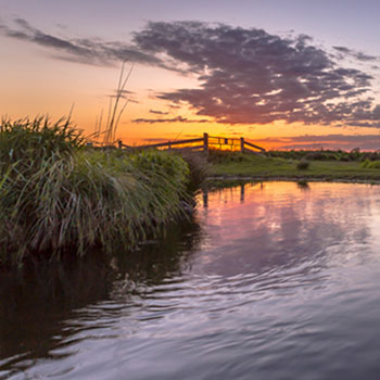 A creek on a ranch at dusk